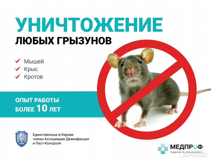 Уничтожение грызунов. Дератизация