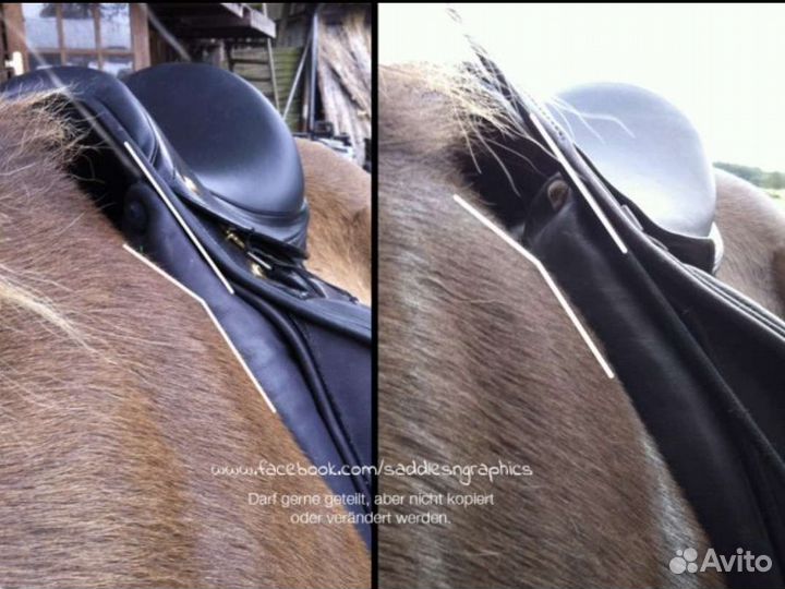 Седло конкурное выездковое. Независимый подбор