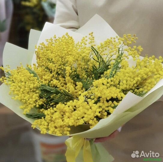 Букеты из мимозы (Арт.33862)