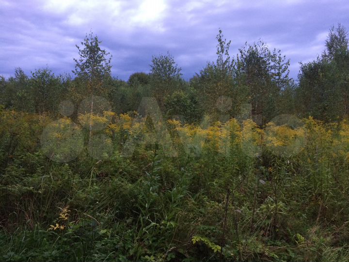 Участок 15 сот. (СНТ, ДНП)