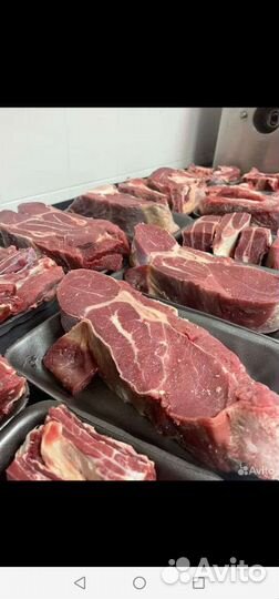 Мясо халяль,Кость говяжья мозговая