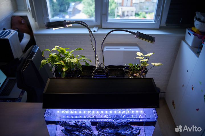 Deksi гроты для аквариума