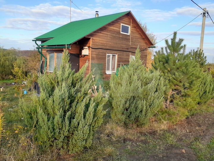 Участок 1,25 га (СНТ, ДНП)