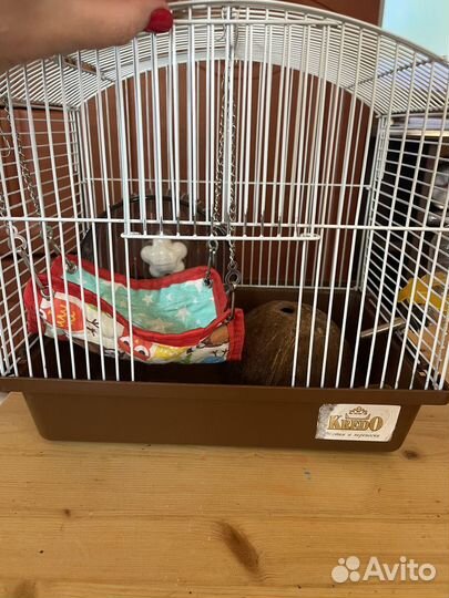 Клетка для джунгарского хомяка
