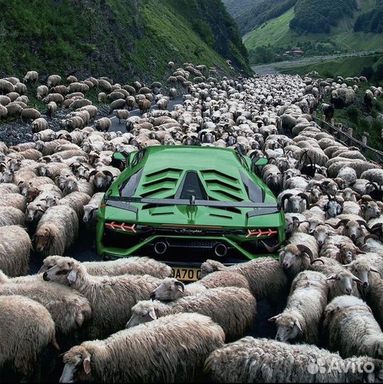 Помогу продать ваши вещи/товар/активы/транспорт