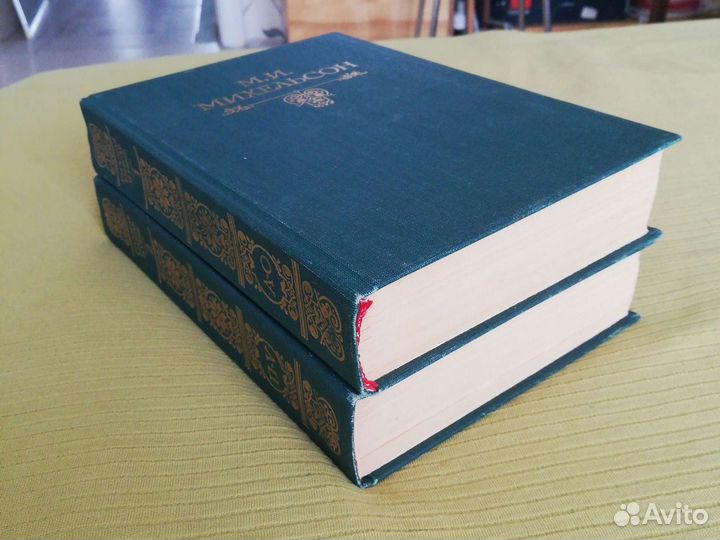 Михельсон М. И. Русская мысль и речь