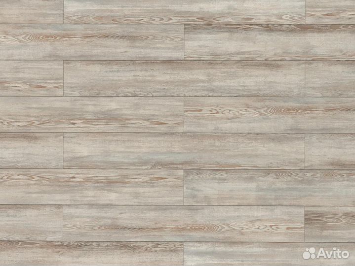 Ламинат Egger Сосна Модро серая EPL239