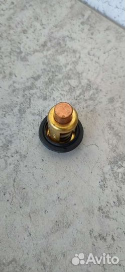 Термостат на лодочный мотор