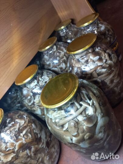 Грибы опята маринованные