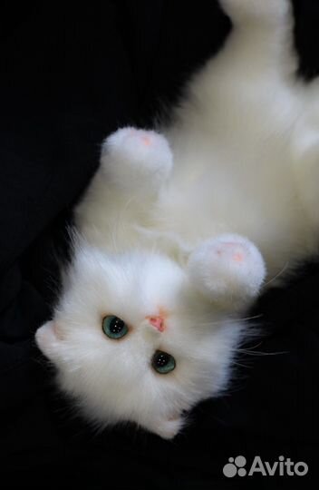 Котенок Игрушки ручной работы из меха