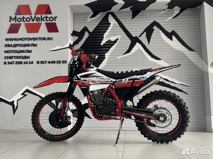 Мотоцикл кроссовый rockot GS 7 Tribute (250сс, 172