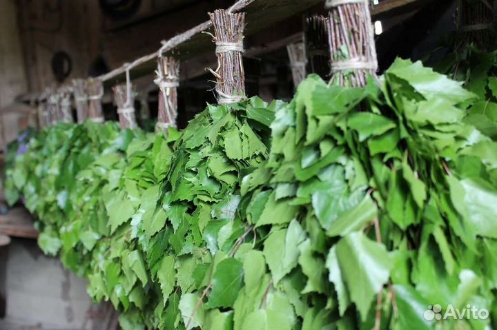 Веник берёзовый а