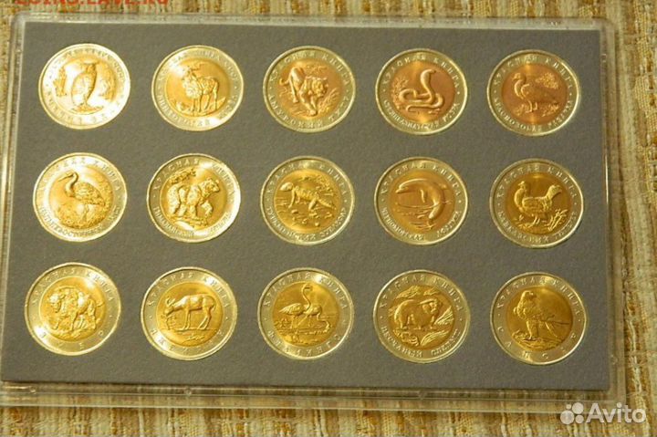 Красная книга 1991 1994