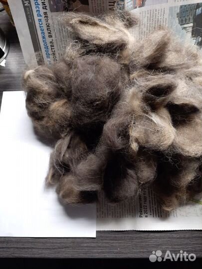 Собачья шерсть пух