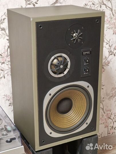Pioneer cs-t66