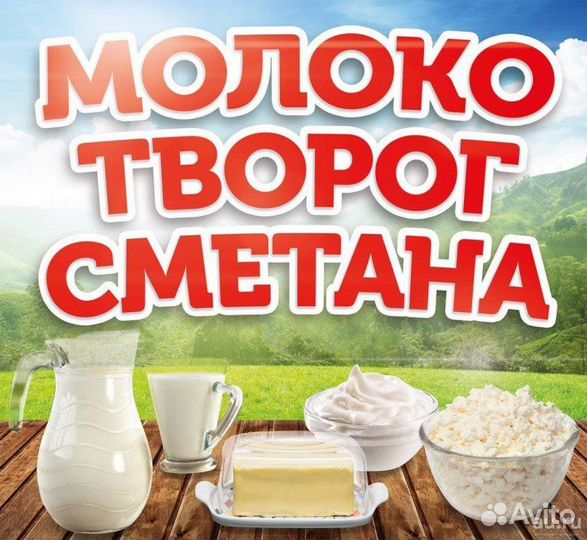Молоко Сметана Творог