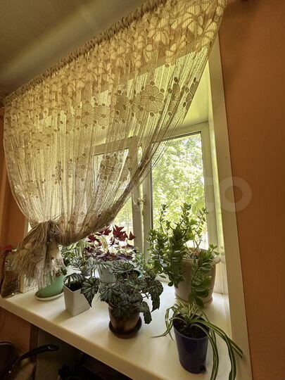 1-к. квартира, 31 м², 2/5 эт.