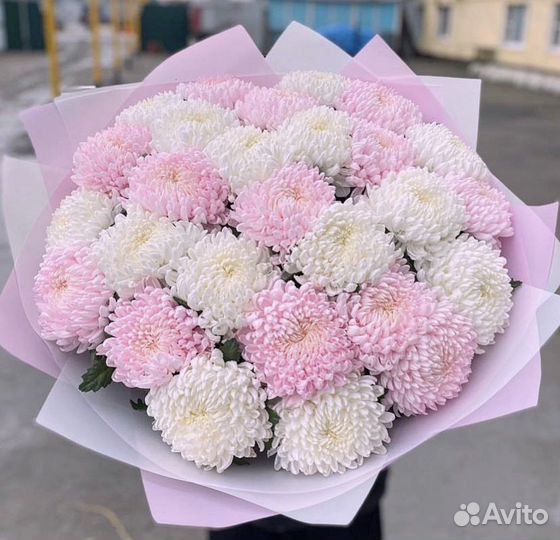 Хризантема одноголовая