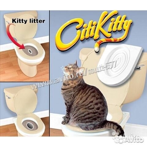 Система приучения кота к унитазу туалету