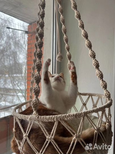 Качели для кошки