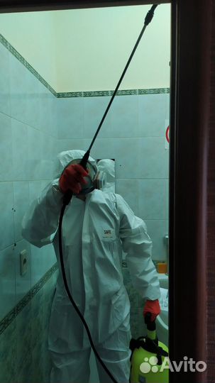 Дезинфекция