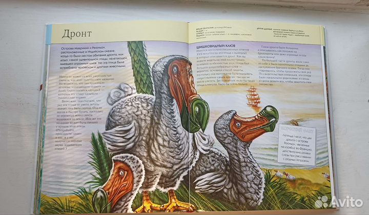 Энциклопедия