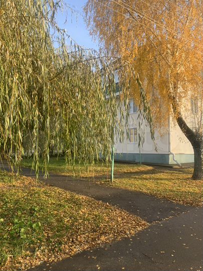 2-к. квартира, 50 м², 2/3 эт.