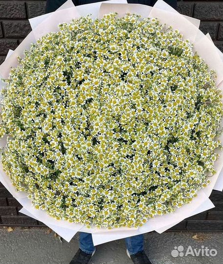 Ромашки букет