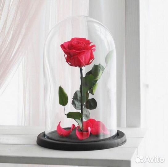 Роза в колбе