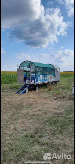 Пчелоприцеп