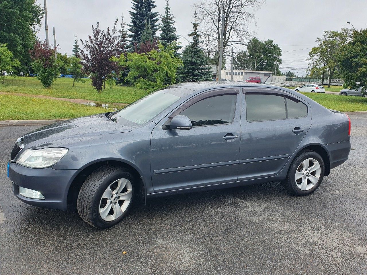 Skoda Octavia: фото владельца