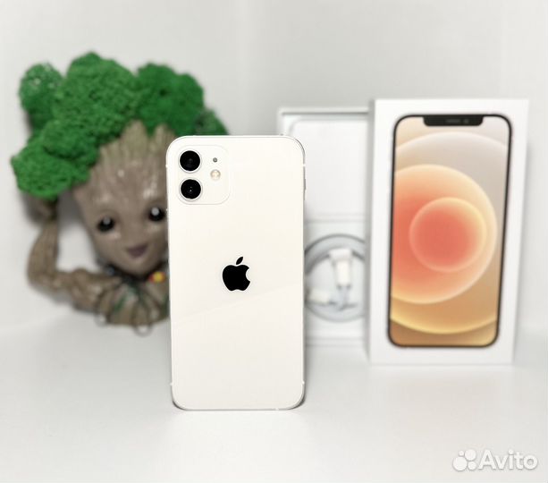 iPhone 12, 128 ГБ
