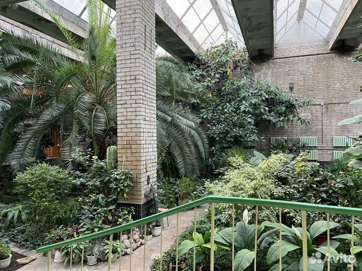 Репетитор по биологии