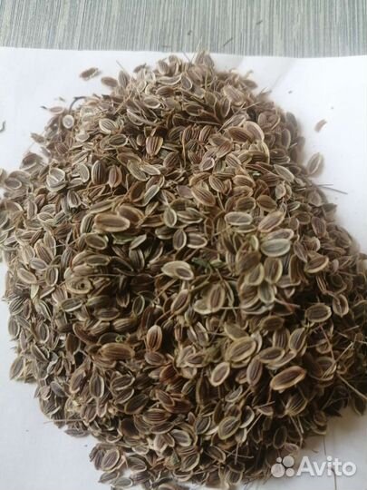 Семена укропа сортового