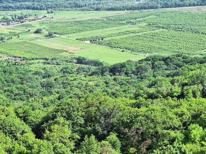 Участок 7,7 сот. (ИЖС)