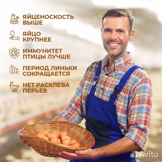 Белковая добавка для кур-несушек, 6 кг