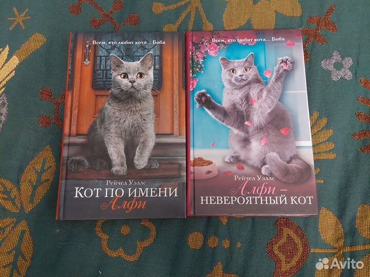 Рейчел Уэллс, кот по имени Алфи