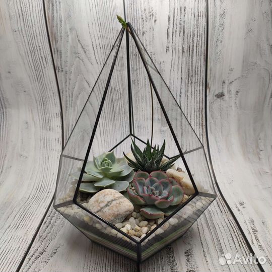 Флорариум, подарок, декор, цветы