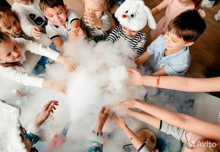 Химическое шоу Научное шоу Крио-шоу профессор шоу