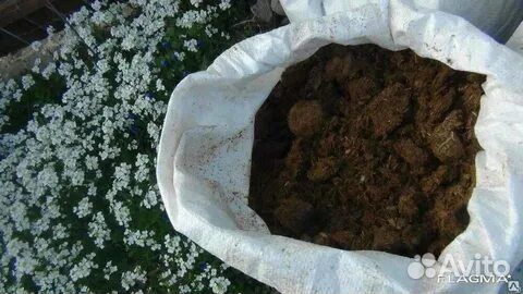 Плодородная земля в мешках