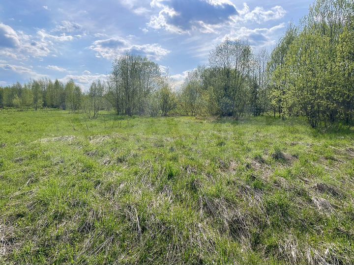 Участок 20,2 сот. (СНТ, ДНП)