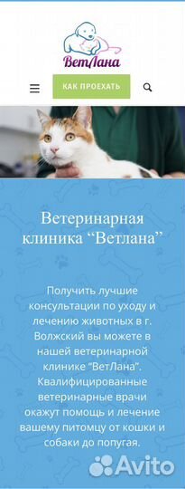 Разработка сайтов