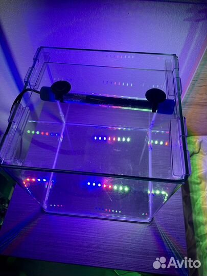 Аквариум 10 литров