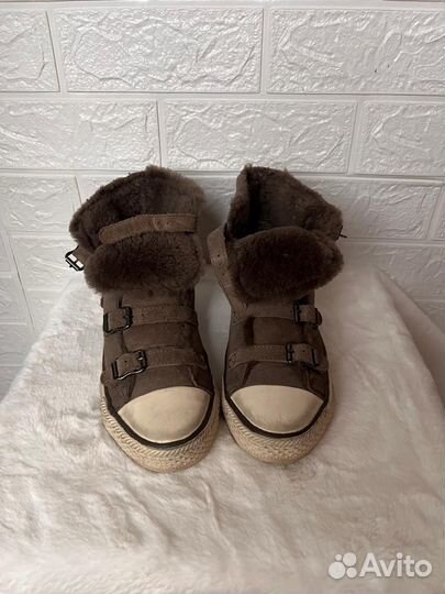 Кеды Ash оригинал