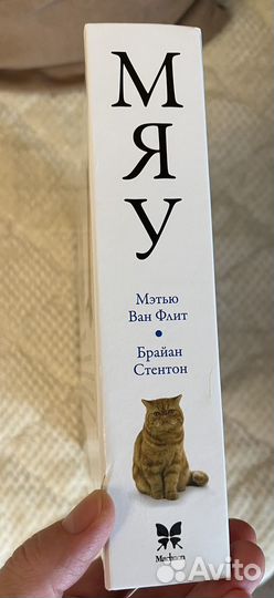 Мэтью ван флит мяу