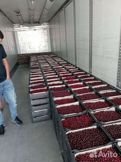 Оптом сладкая малина, клубника с Кыргызстана