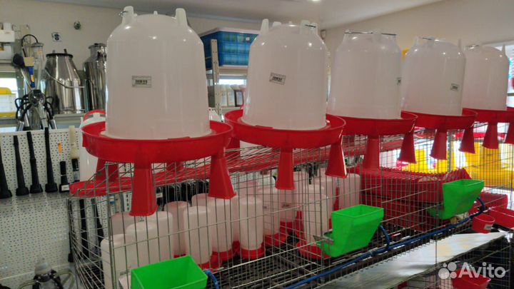 Кормушки поилки для кур, кроликов, перепелов, птиц