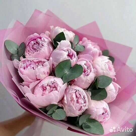 Пионы Розы Доставка