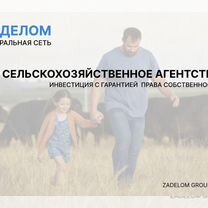 Сельскохозяйственное агентство в городе Мурманск, Мурманск