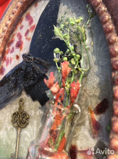 Пано с бабочками